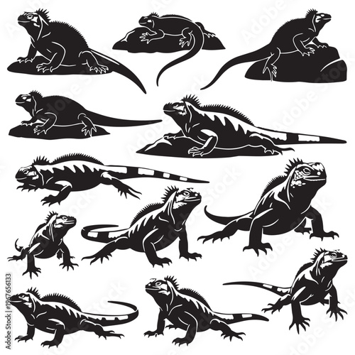 Black Marine iguana Silhouette Vector, High Quality Illustration on White Background