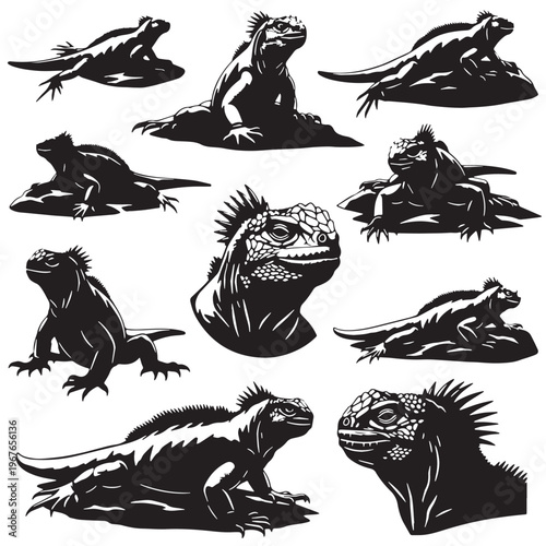 Black Marine iguana Silhouette Vector, High Quality Illustration on White Background