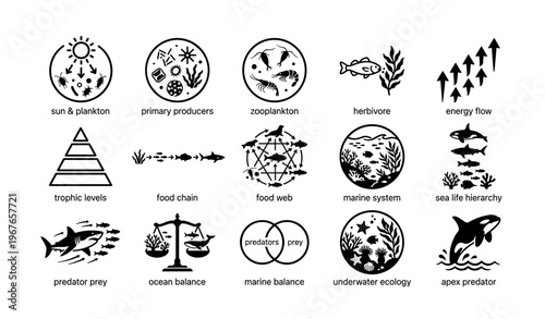 Marine ecosystem symbols: food chain, energy flow, ocean balance