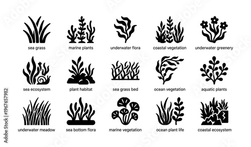 Icons of marine plant life and underwater vegetation