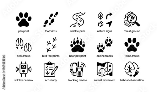 Animal tracking icons set: wildlife signs, pawprints, devices for nature study
