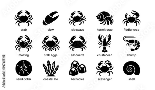 Silhouette collection of crustaceans and marine life icons