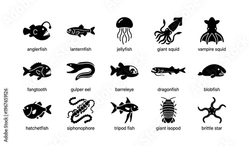 Silhouettes of deep sea creatures: anglerfish, lanternfish, jellyfish, squid, eel, dragonfish, and more