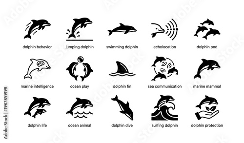 Dolphin icons displaying behavior, lifecycles, and marine features