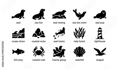 Seal and marine icons set: ocean wildlife and coastal elements illustrations