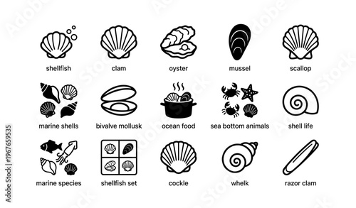 Shellfish icons collection featuring clams oysters mussels and scallops in black and white