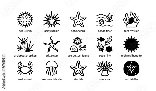 Marine life icons: sea urchin, echinoderm, starfish, reef animals, ocean fauna