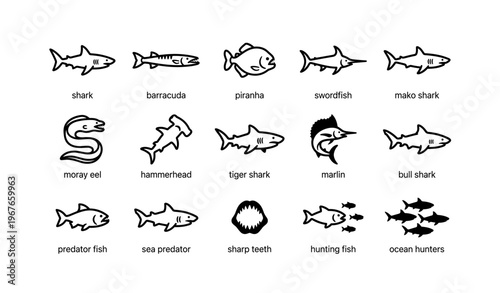 Illustration of ocean predators: sharks, barracuda, piranha, and more