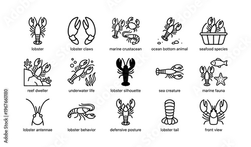 Lobster icons collection: claws, marine life, silhouette, underwater creature