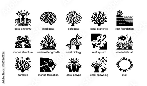 Coral anatomy and marine structure icons illustrating ocean habitat and marine biology concepts