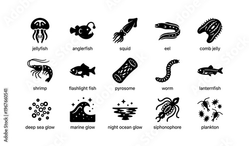 Silhouettes of sea creatures: jellyfish, anglerfish, squid, eel, shrimp, lanternfish