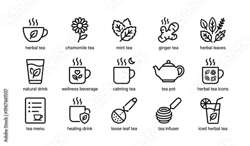 Herbal tea icons: chamomile, mint, ginger, pot, wellness, healing