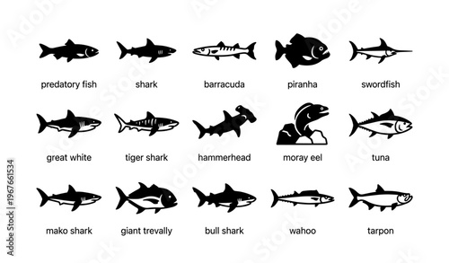 Silhouette illustrations of various predatory fish species