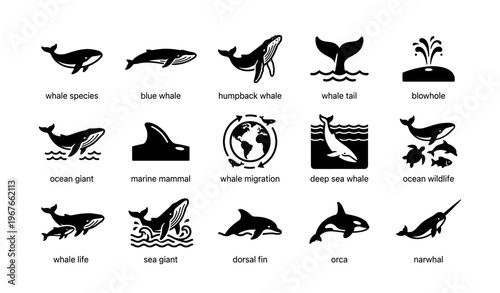 Marine giants silhouettes: whales, dolphins, orcas, and narwhals