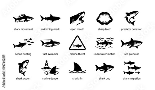 Shark icons illustrating behavior and threats in ocean environment