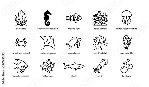 Sea creatures and habitats: seahorse, fish, coral, jellyfish, and more