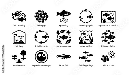 Icons illustrating fish breeding and aquatic reproduction processes