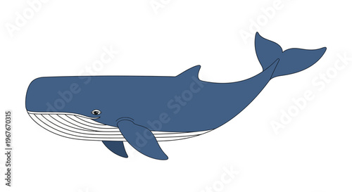 Simple blue whale illustration isolated on white background