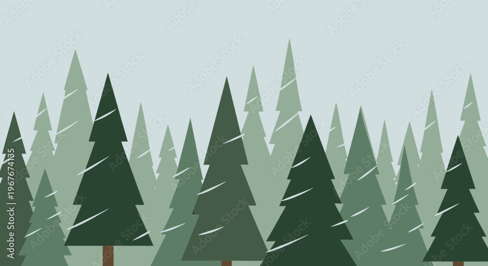Obraz premium Evergreen trees in a forest.