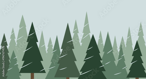 Evergreen trees in a forest.
