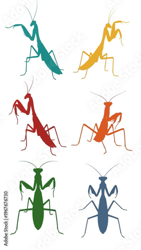 Colorful Collection of Insects with Varied Shapes and Vibrant Colors for Nature and Scientific