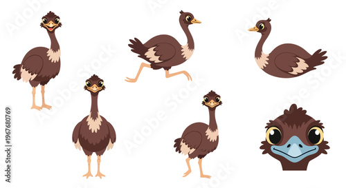 Collection of Cute Cartoon Ostrich Illustrations in Various Poses.