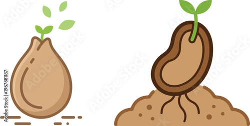 Vector illustration showing a seed germination process, with a seed sprouting into a young plant and roots developing in soil, representing growth and new beginnings.
