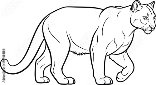 Graceful Line Art of a Lioness Walking with an Elegant Stance for Wildlife and Animal-Themed Designs