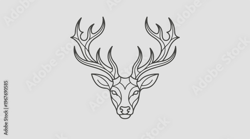 Deer Head with Large Antlers.