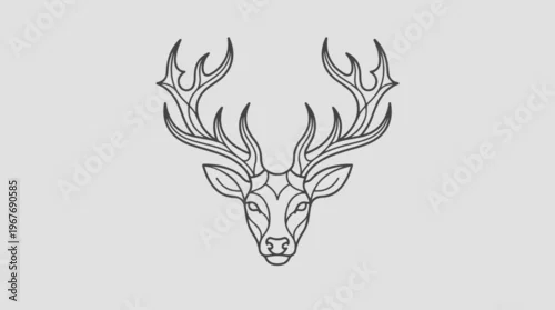 Fototapeta Deer Head with Large Antlers.