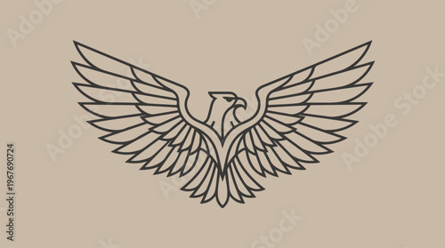 Eagle Wings Spread Wide Open.