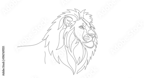 Lion Head Drawing Closeup Profile View.