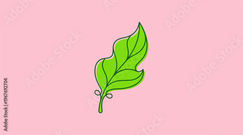 Green leaf on pink background.