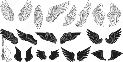 WebStylized black-and-white wing illustrations with detailed feather patterns, solid silhouettes, and abstract designs, perfect for fantasy, tattoo, angel, bird, and graphic art concepts