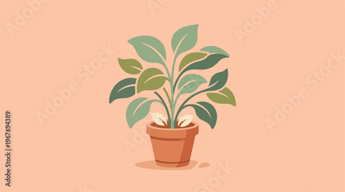 Potted Plant with Green Leaves.