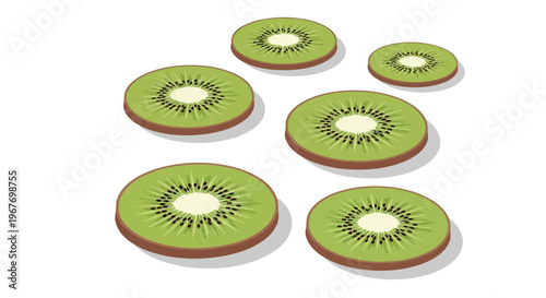 Fresh kiwi fruit slices vector illustration on white background.