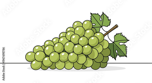 Fresh Green Grapes Bunch Illustration on White Background