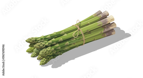 Fresh Green Asparagus Bunch on White Background