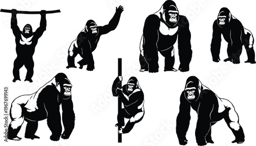 Black and white gorilla silhouettes collection, multiple poses including climbing, hanging, walking, standing, strong primate wildlife illustration isolated on white background vector design