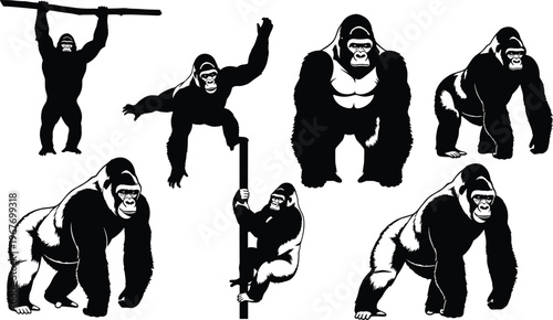 Black and white gorilla silhouettes set, various poses including climbing, standing, walking, holding branch, wildlife primate illustration isolated on white background vector style