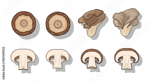 Assortment of fresh edible mushrooms in various types and cross-sections isolated on white.
