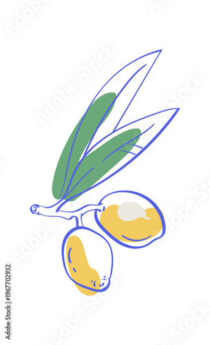 Vintage olive branch doodle with blue and yellow color detail. Hand drawn mediterranean food motif as cute italian icon for cafe menu and restaurant card. Gourmet leaves art suits picnic brunch or