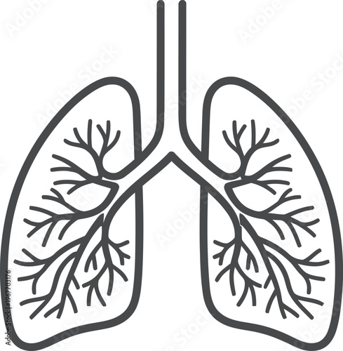 Human lungs, respiratory system, anatomy illustration, medical icon, black and white vector