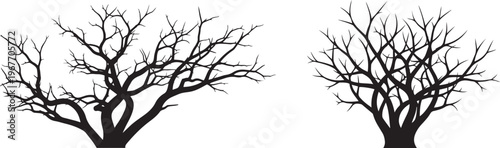 Bare Tree Silhouettes Against White Background Detailed Branches Winter Woodland Scene Minimalist Graphic