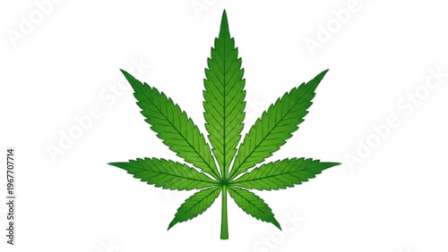 Green Cannabis Marijuana Leaf Herbal Medicine