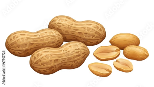 Roasted Peanuts in Shell and Shelled Kernels