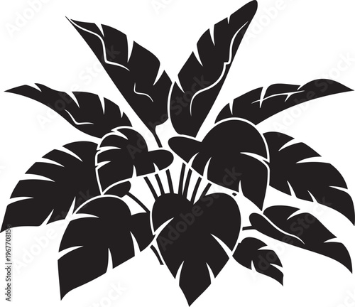 Tropical Monstera Leaves Silhouette Lush Greenery Exotic Plant Detail Vector Graphic Minimalist Style