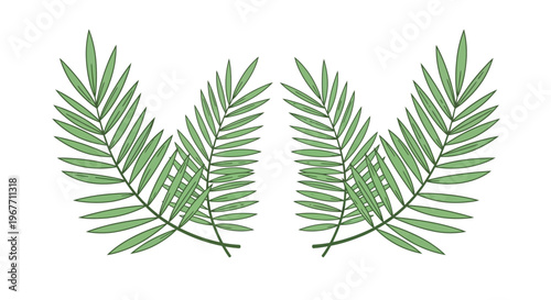 Green Fern Leaves Isolated on White. Vector Illustrations. EPS Editable