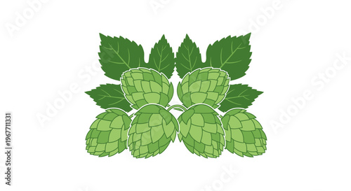 Green hop cones and leaves bunch. Vector Illustrations. EPS Editable