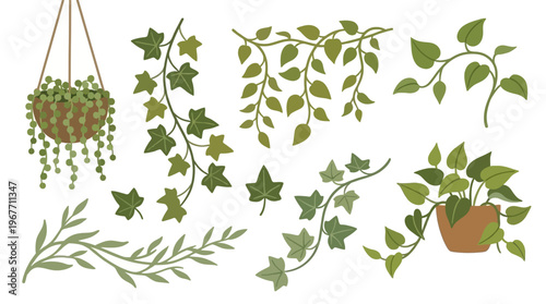 Green leaves and plants on white. Vector Illustrations. EPS Editable